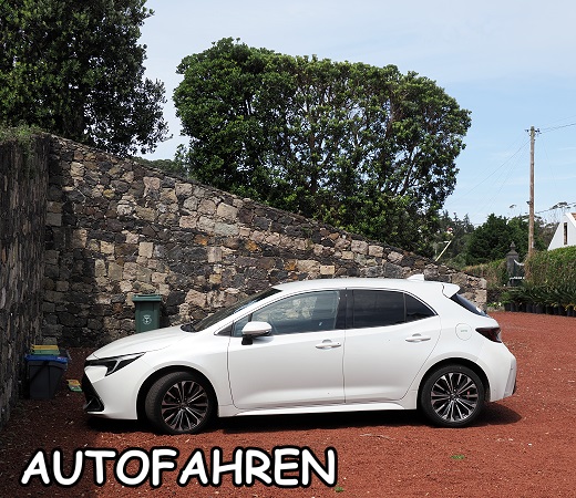 Corolla auf Sao Miguel