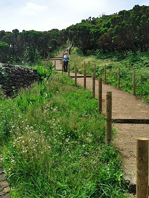 Weg zur Walbeobachtung