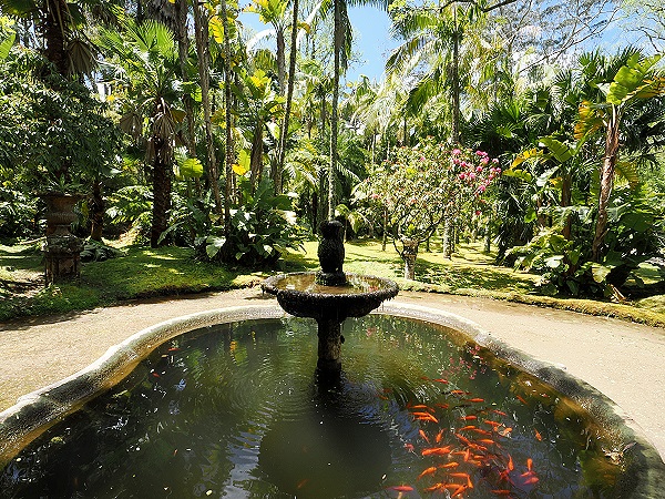 Springbrunnen und Goldfische