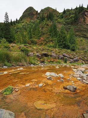 Eisenhaltiges Flussbett