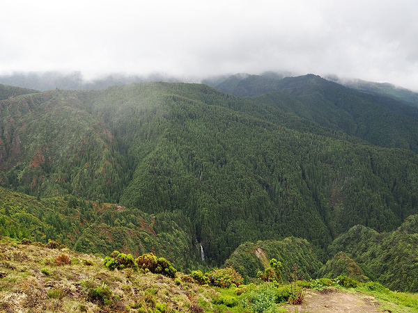 Blick vom Aussichtspunkt