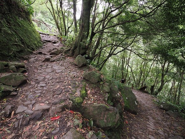 Nahe der Weggabelung