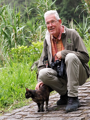 Schon wieder die Katze