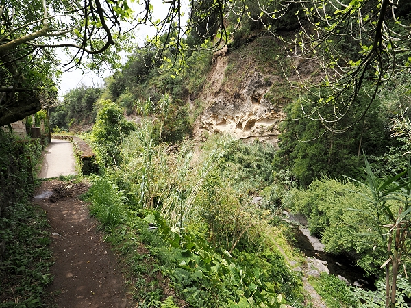 Hier beginnt der Weg