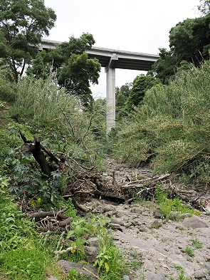 Brücke Schnellstraße