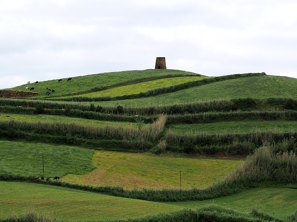 Grüne Hügel bei Mosteiros