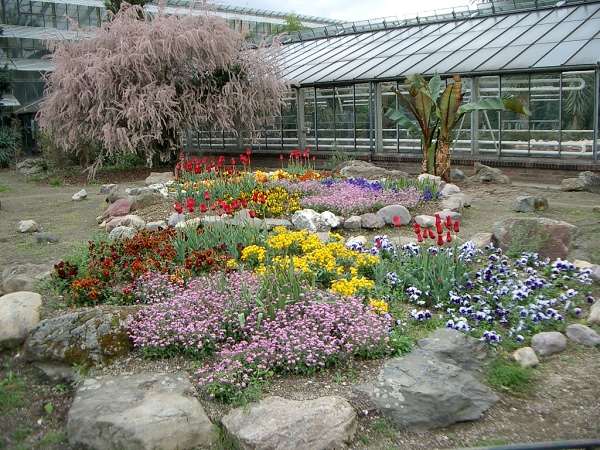 Alte Gewächshäuser