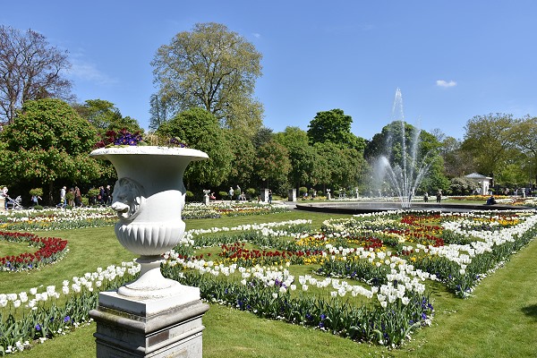 Frühlingsbepflanzung