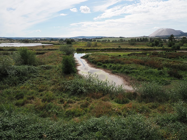 Rhäden und Monte Kali