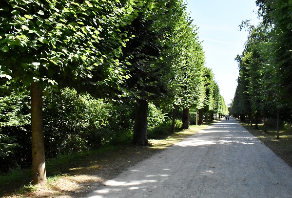 Waldweg