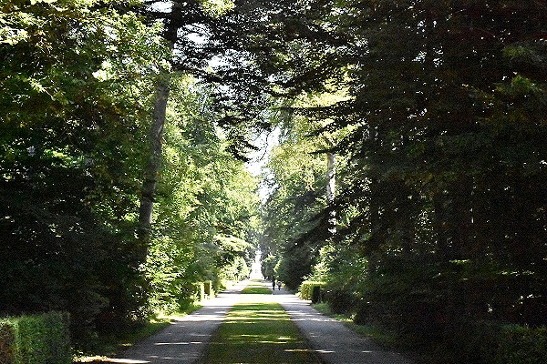 Waldweg