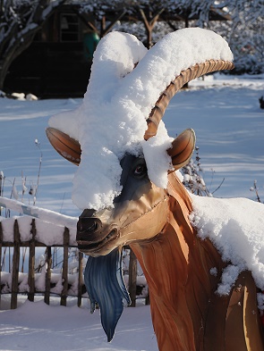Hennes im Schnee