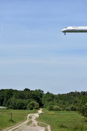 Langeanflug über der Heide