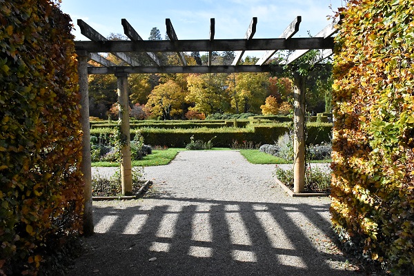 Pergola
