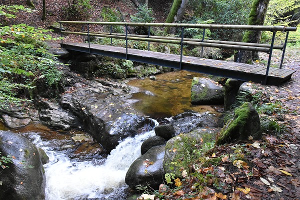 Brücke
