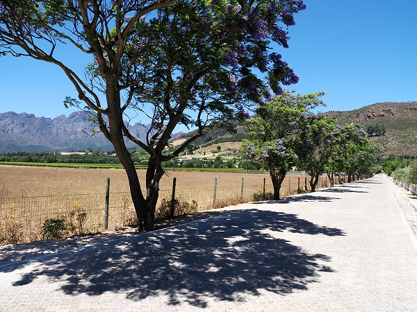 Grande Provence Street