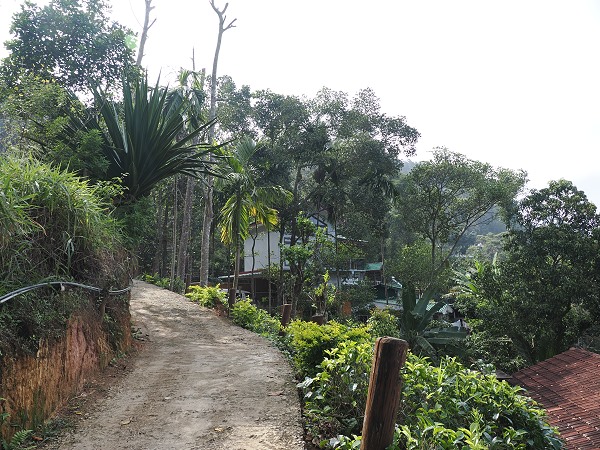 Straße an der Unterkunft